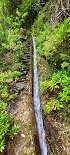 Plants: image 60 Of 208 Thumb